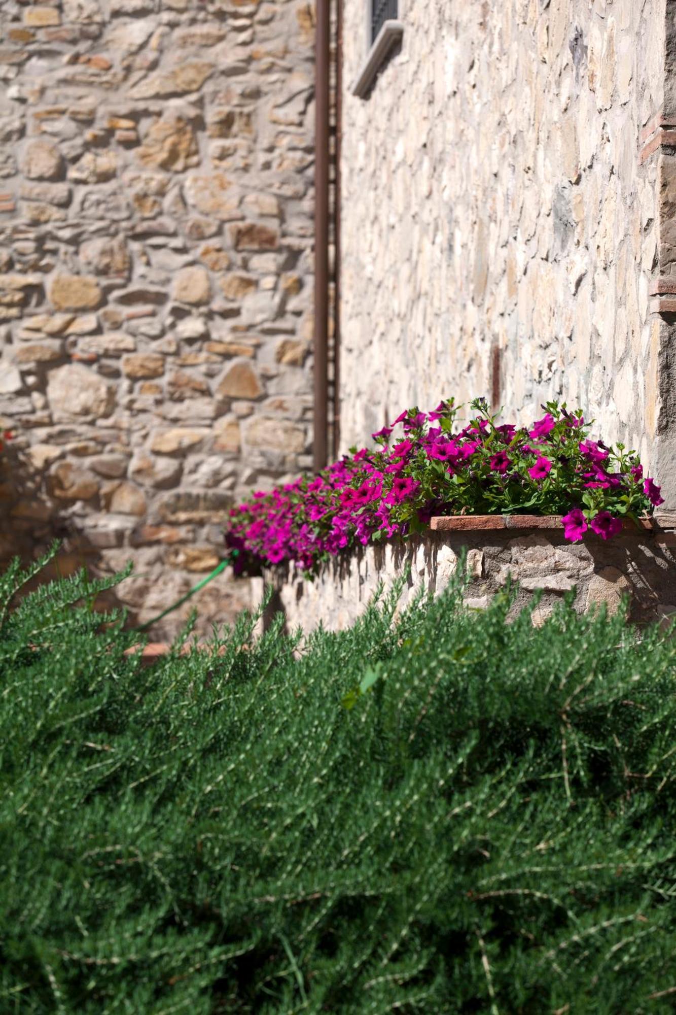Agriturismo La Casa Di Rodo クアッラータ エクステリア 写真