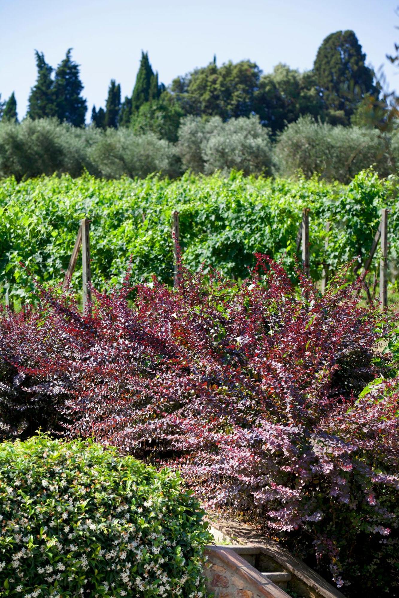 Agriturismo La Casa Di Rodo クアッラータ エクステリア 写真
