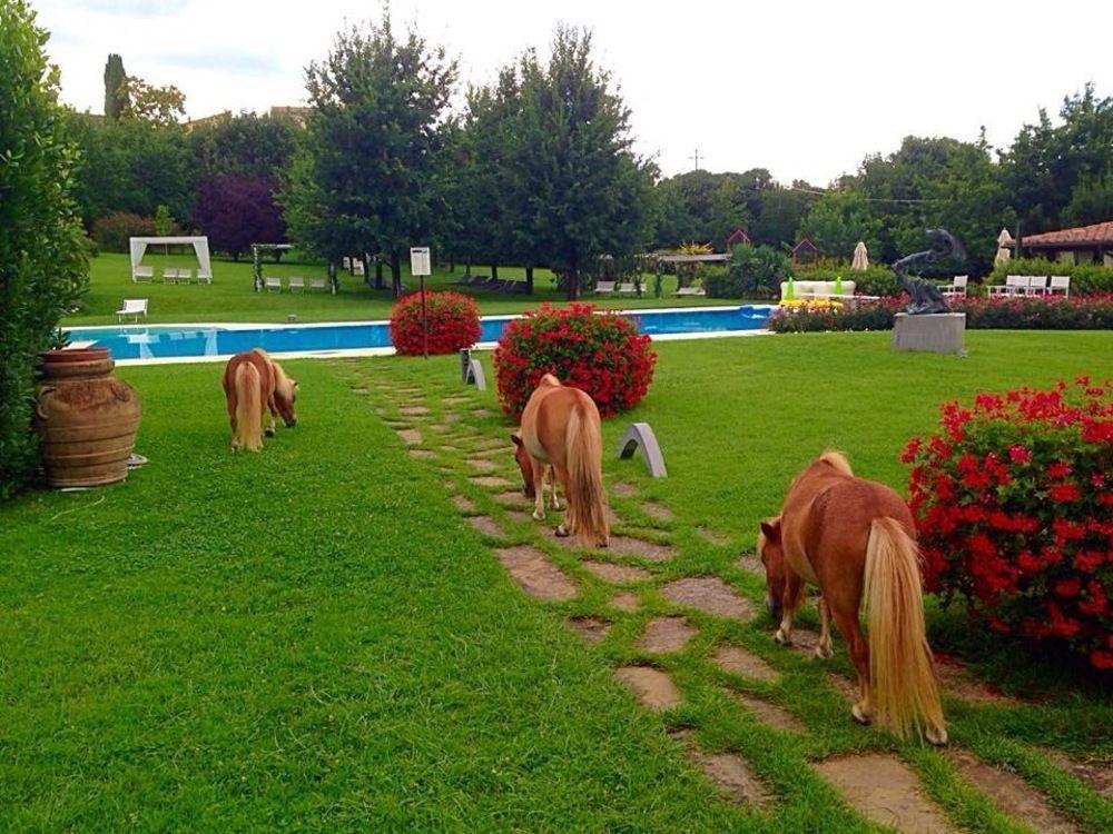 Agriturismo La Casa Di Rodo クアッラータ エクステリア 写真