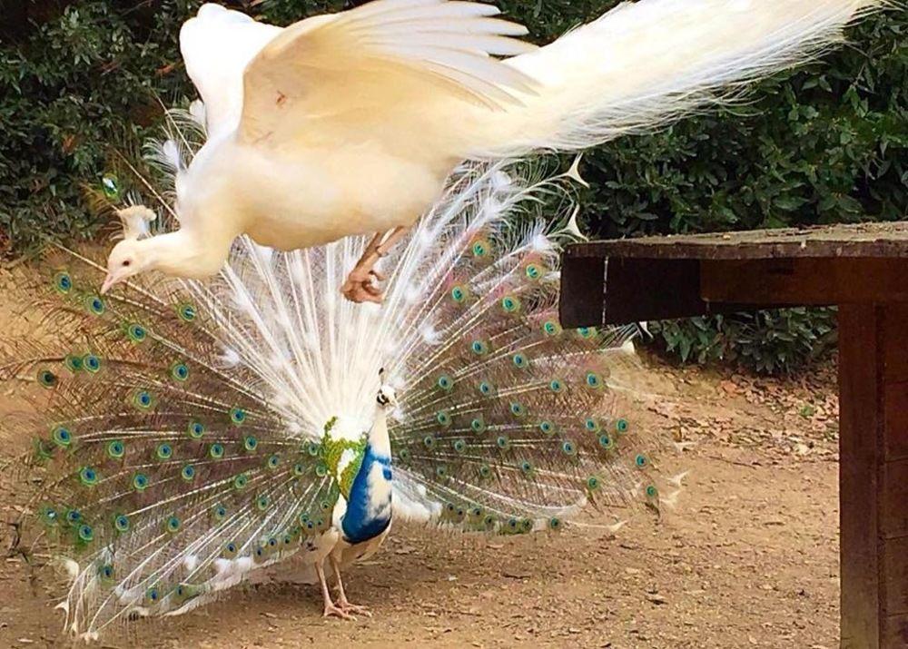 Agriturismo La Casa Di Rodo クアッラータ エクステリア 写真