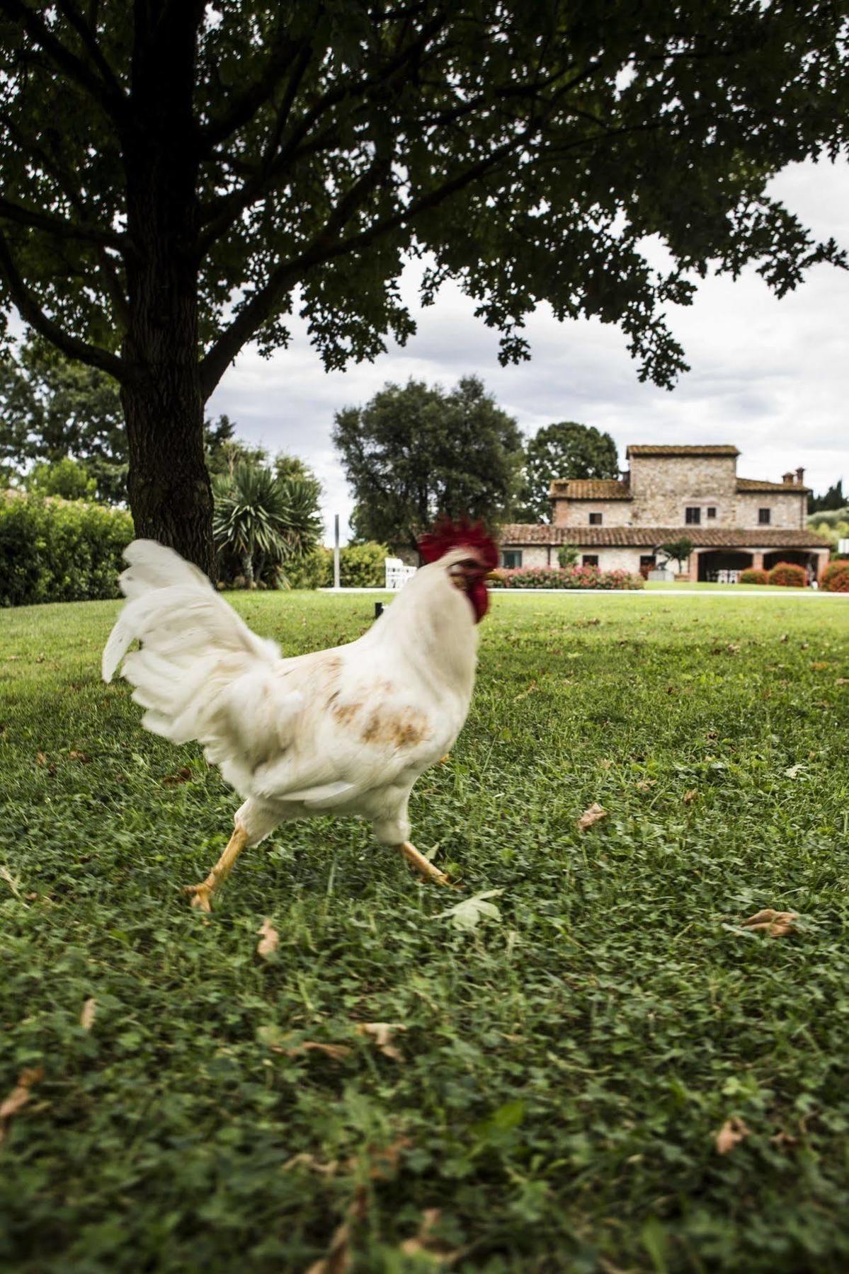 Agriturismo La Casa Di Rodo クアッラータ エクステリア 写真